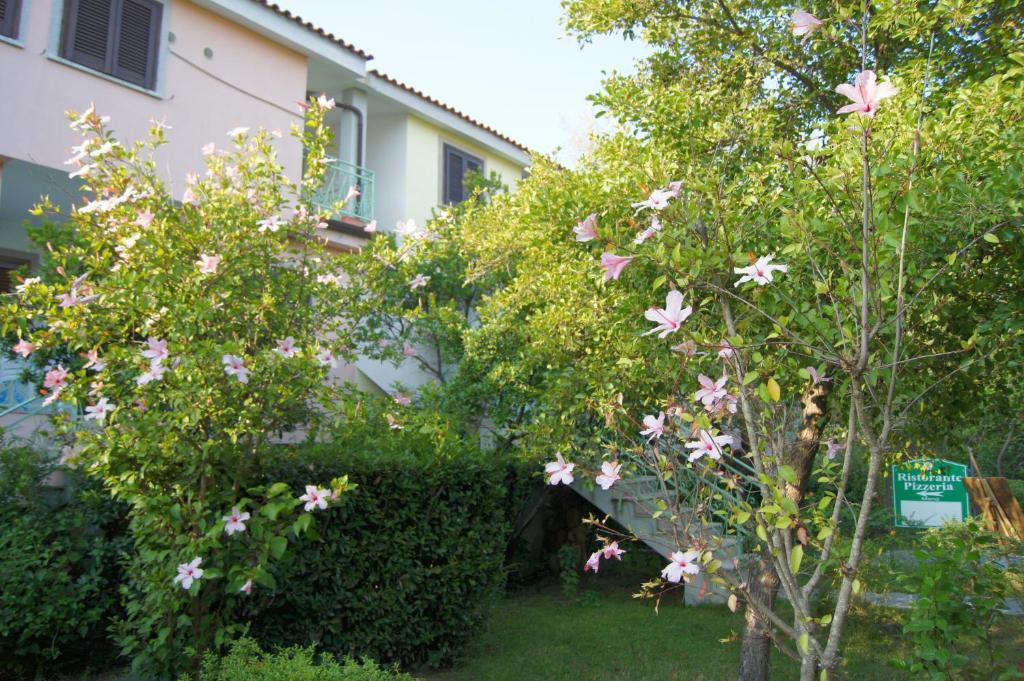 Albergo Residenziale Gli Ontani Cala Liberotto Esterno foto